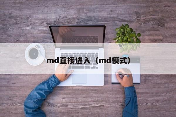 md直接进入（md模式）