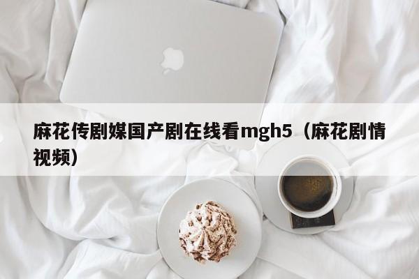 麻花传剧媒国产剧在线看mgh5（麻花剧情视频）