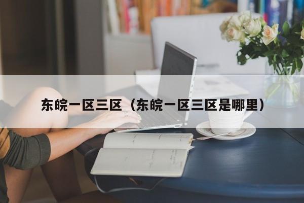 东皖一区三区（东皖一区三区是哪里）