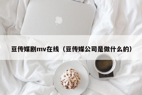 豆传媒剧mv在线（豆传媒公司是做什么的）
