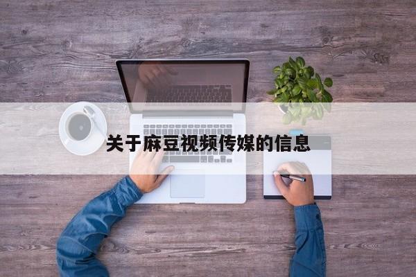 关于麻豆视频传媒的信息