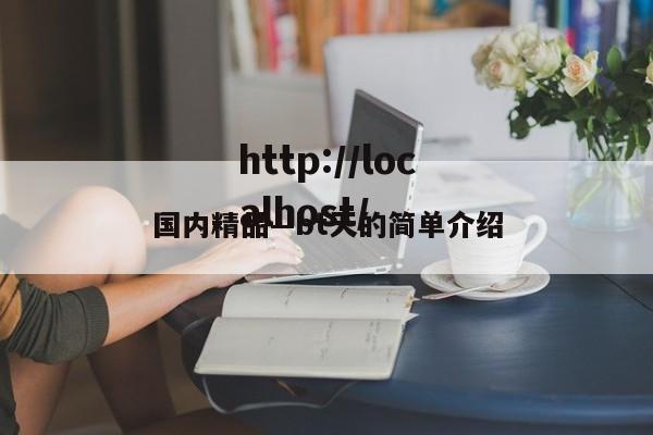 国内精品—bt天的简单介绍